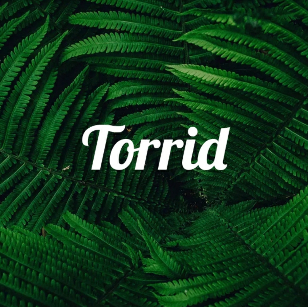 Torrid Clothing